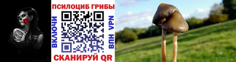 Псилоцибиновые грибы ЛСД  Прохладный 