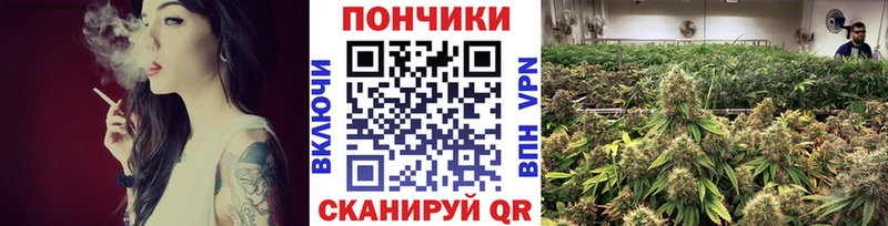 дарнет шоп  Прохладный  Каннабис Ganja 