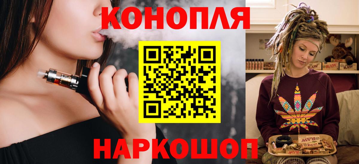 Шишки марихуана семена Прохладный